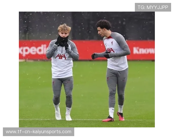 多特蒙德准备押宝英格兰天才，英超新星即将闪耀德甲